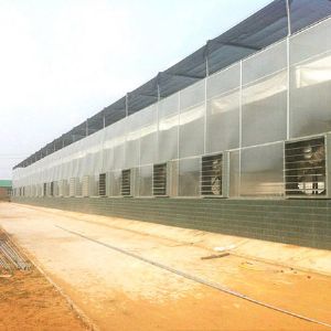玻璃連棟溫室
